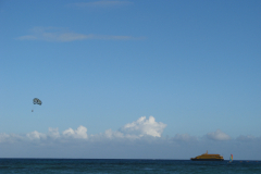 08005-IMG_1812