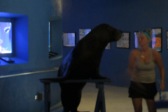 32023-IMG_3365