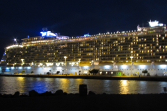 32101-IMG_3378