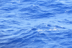32420-IMG_3454