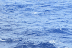32423-IMG_3457