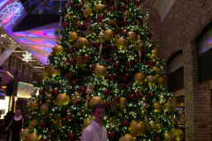 32460-IMG_1176
