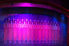 2015 - Jan   - Western Caribbean - RCI - Explorer of the Seas