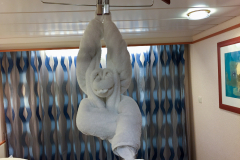 2016 - July  - Alaska - RCI - Explorer of the Seas
