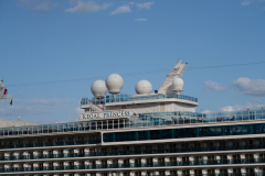 Oasis-February-2020-00023