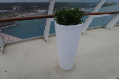 Oasis-February-2020-00080