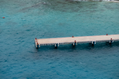 Oasis-February-2020-00103