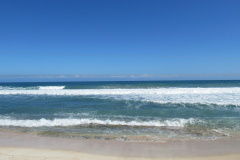 Oasis-February-2020-00134