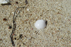 Oasis-February-2020-00138