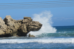 Oasis-February-2020-00139