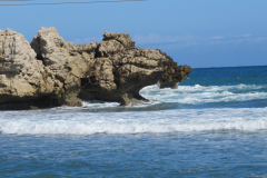 Oasis-February-2020-00141