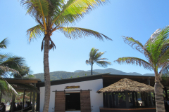 Oasis-February-2020-00147