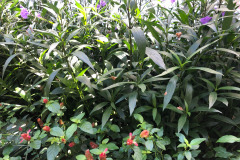 Oasis-February-2020-00152-2