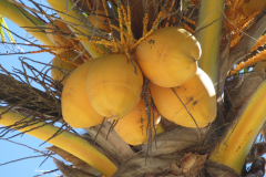 Oasis-February-2020-00152