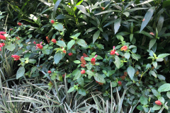 Oasis-February-2020-00153