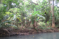 Oasis-February-2020-00166