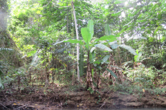 Oasis-February-2020-00167