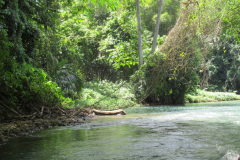 Oasis-February-2020-00171