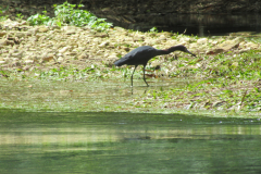 Oasis-February-2020-00184