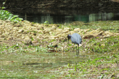 Oasis-February-2020-00185