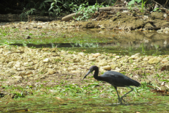 Oasis-February-2020-00186