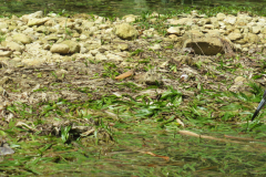 Oasis-February-2020-00187