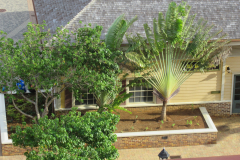 Oasis-February-2020-00204