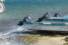 Oasis-February-2020-00238