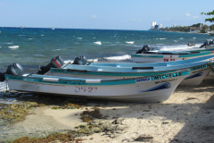 Oasis-February-2020-00240