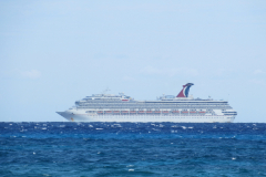 Oasis-February-2020-00242