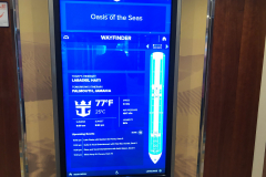 Oasis-February-2020-00378