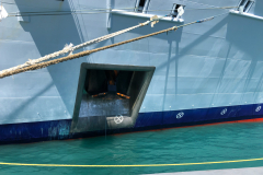 Oasis-February-2020-00383