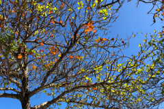 Oasis-February-2020-00429