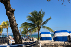 Oasis-February-2020-00430