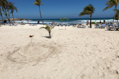 Oasis-February-2020-00431