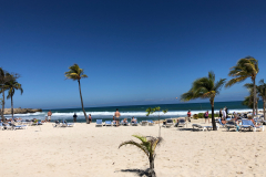 Oasis-February-2020-00432