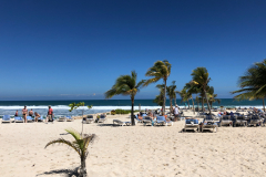 Oasis-February-2020-00436