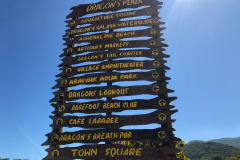 Oasis-February-2020-00441