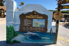 Oasis-February-2020-00442