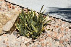 Oasis-February-2020-00444