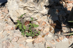 Oasis-February-2020-00446