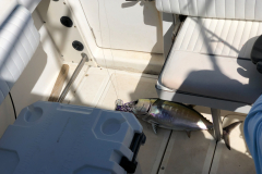 Oasis-February-2020-00463