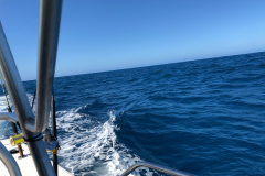 Oasis-February-2020-00464