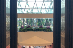 Oasis-February-2020-00477