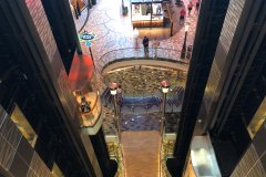 Oasis-February-2020-00479