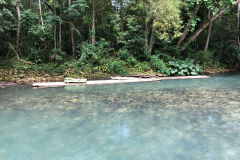 Oasis-February-2020-00518