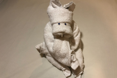 Oasis-February-2020-00582