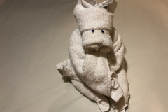 Oasis-February-2020-00583