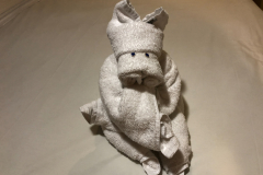 Oasis-February-2020-00585