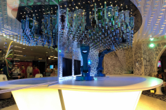 Oasis-February-2020-00587